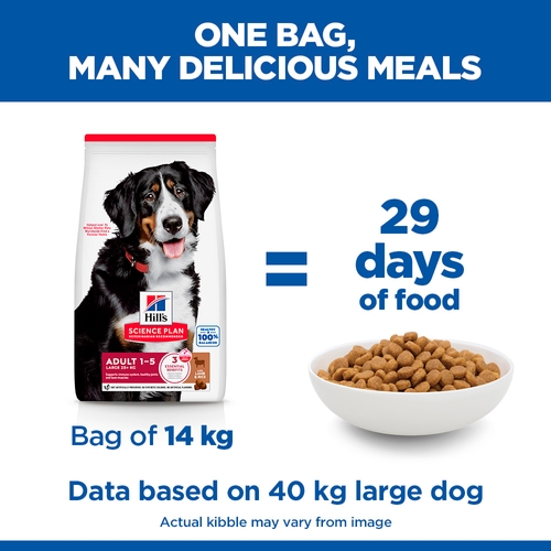 Hill's Science Plan Large Breed - Adult - Lamb & Rice