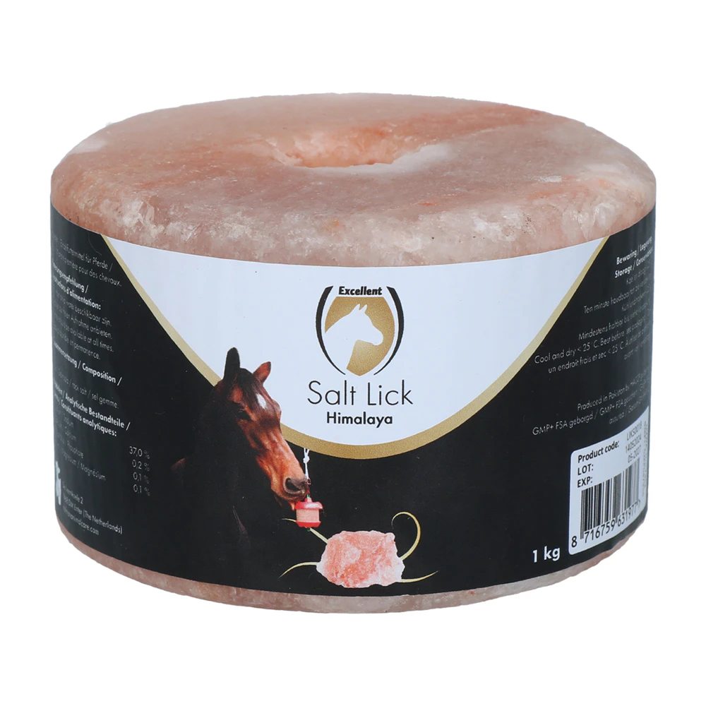 Excellent Horse Salt Lick Himalaya