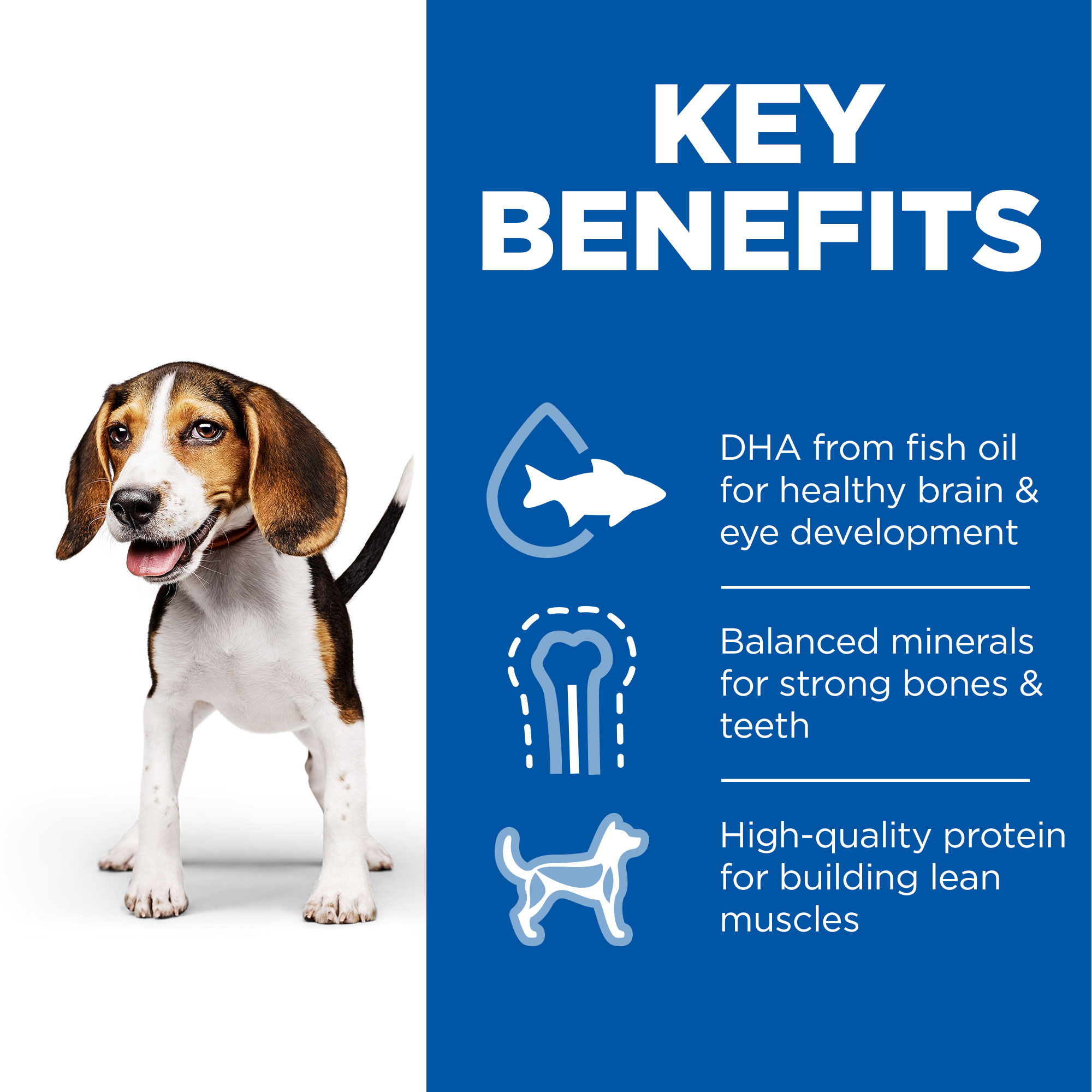 Hill's Science Plan - Puppy Healthy Development - Medium - Wet food