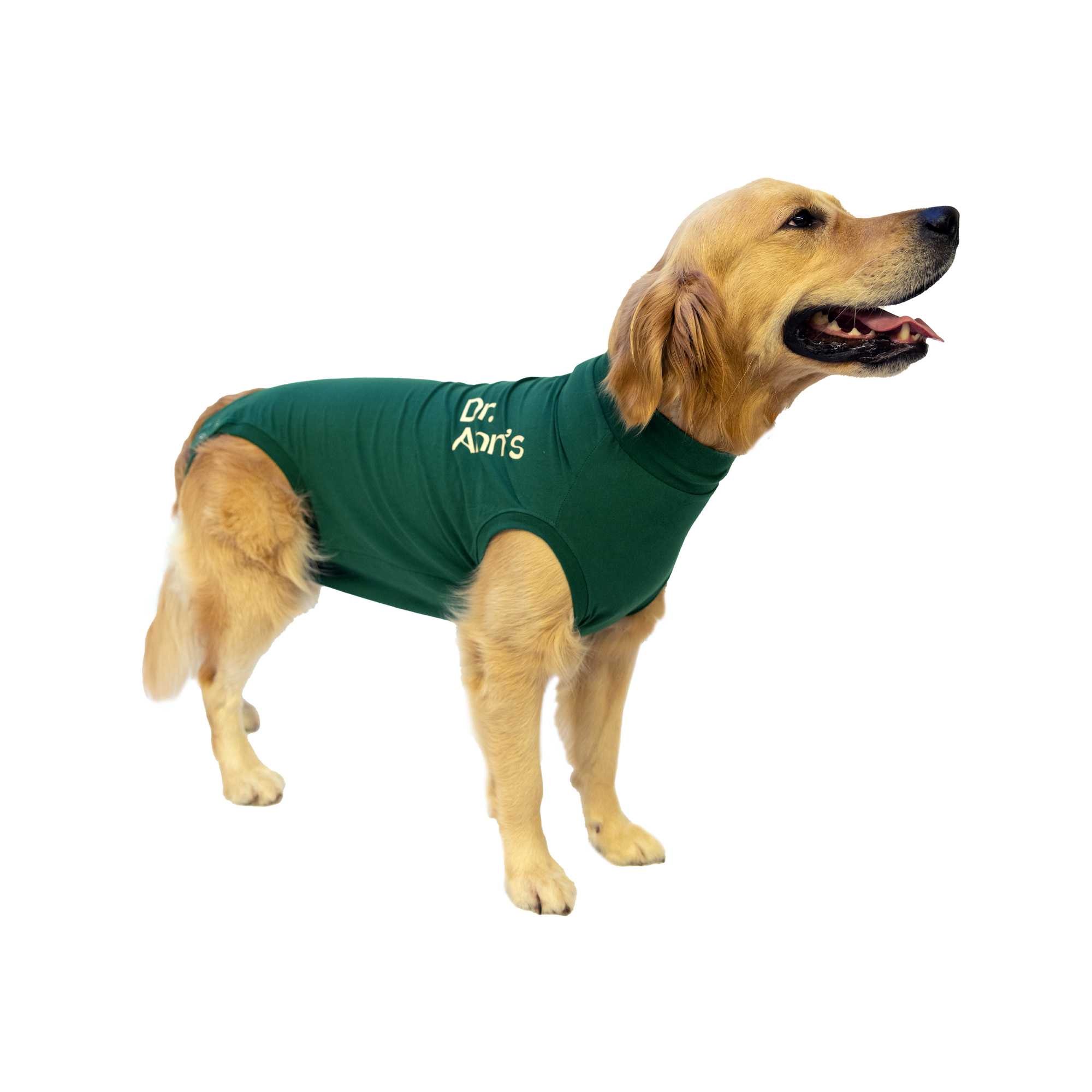 Dr. Ann's Protective Shirt Dog