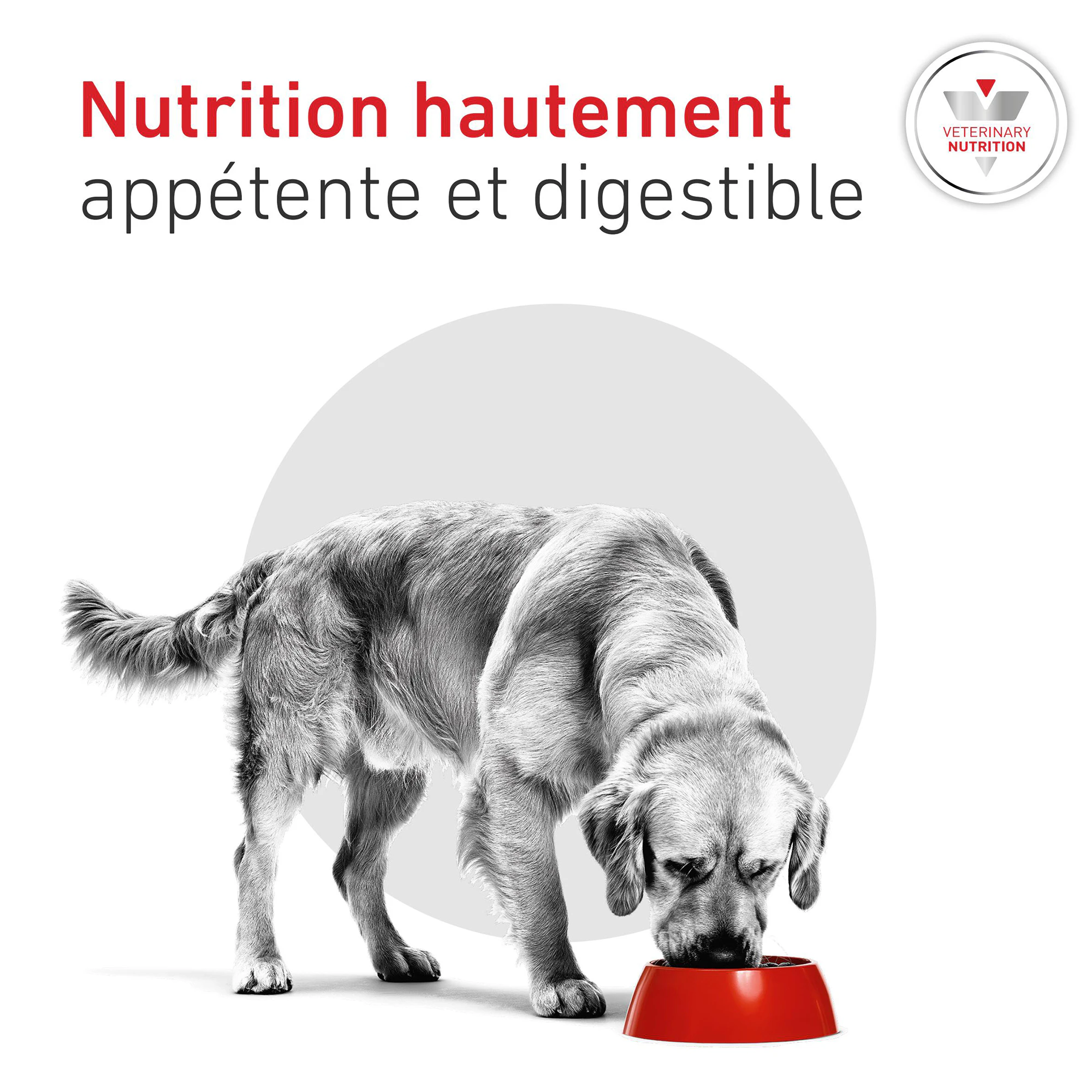 Royal Canin Glycobalance Chien - Boîte
