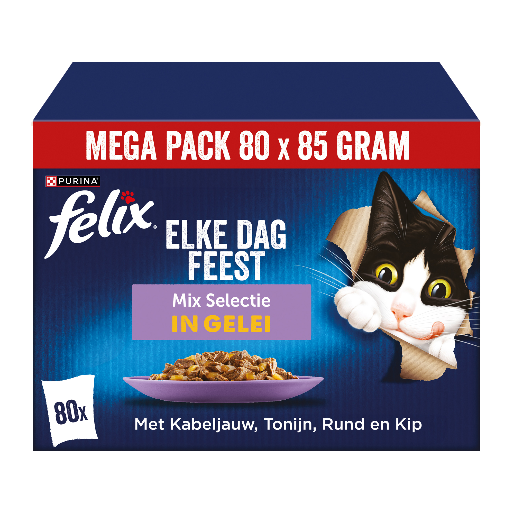 Felix Jeden Tag Party in Gelee