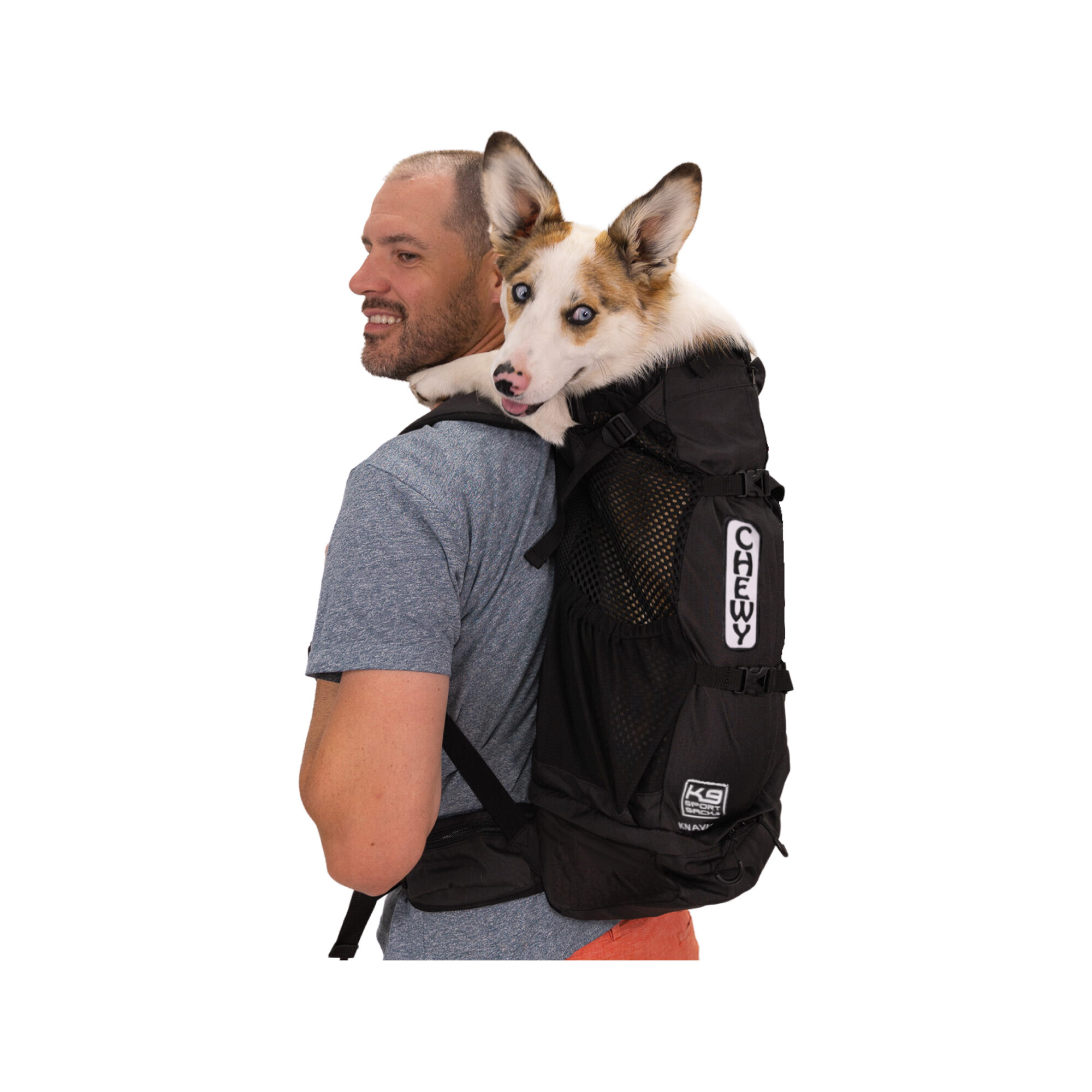 K9 Sport Sack Knavigate