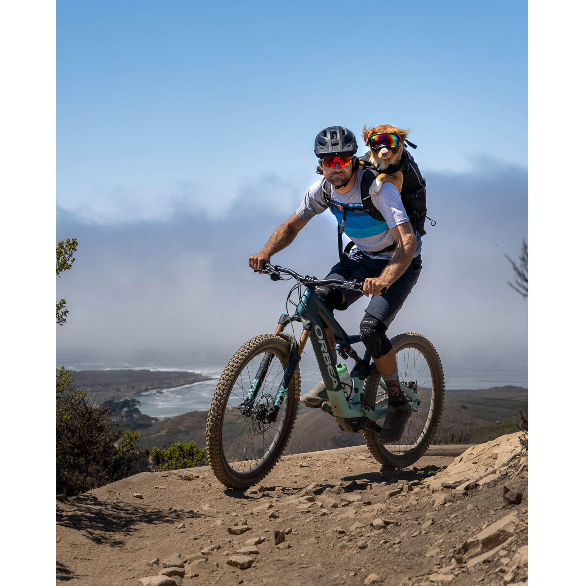 K9 Sport Sack Knavigate