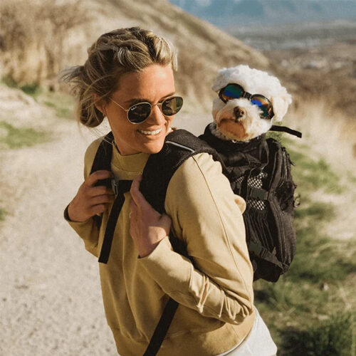 K9 Sport Sack Plus 2