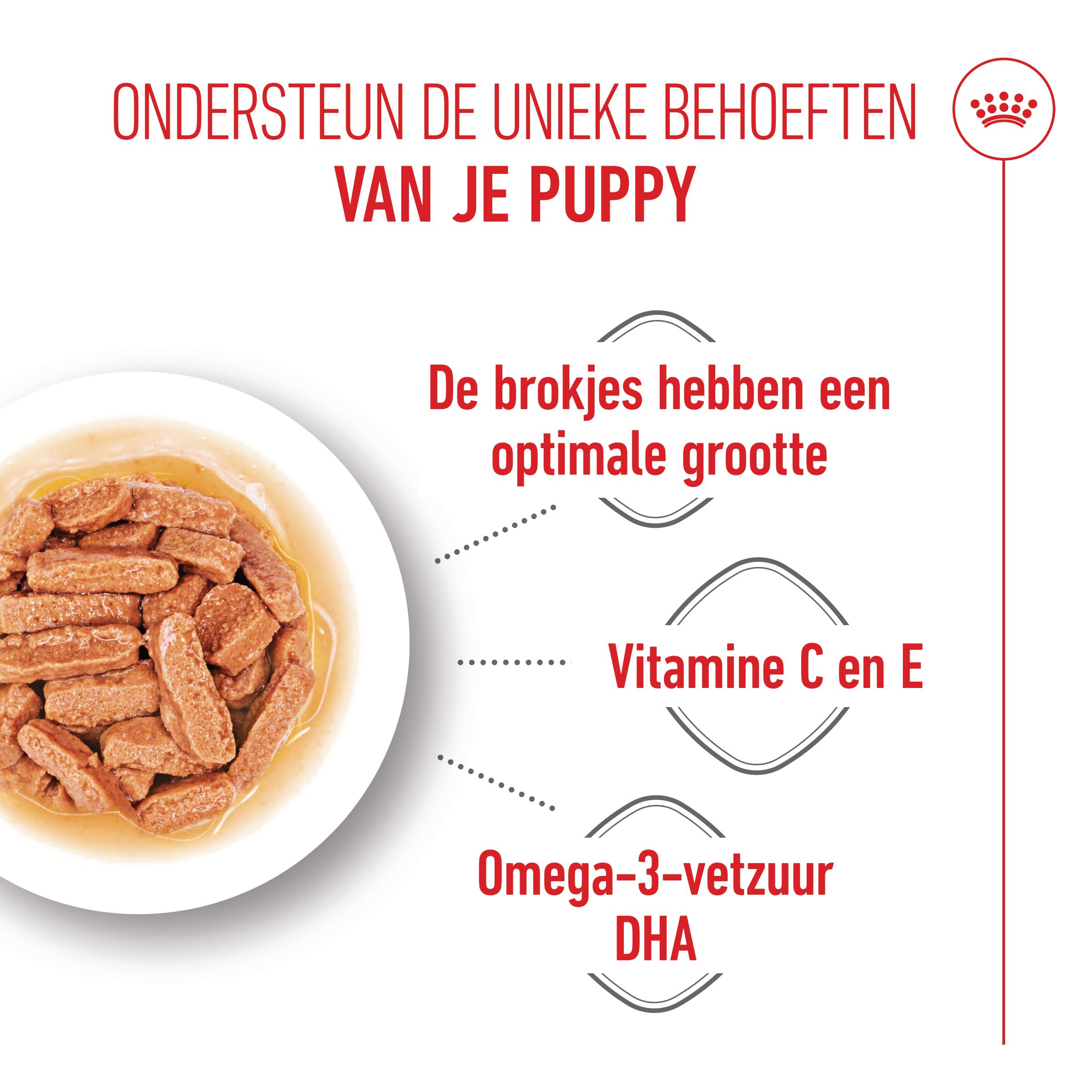 Royal Canin Medium Puppy Wet