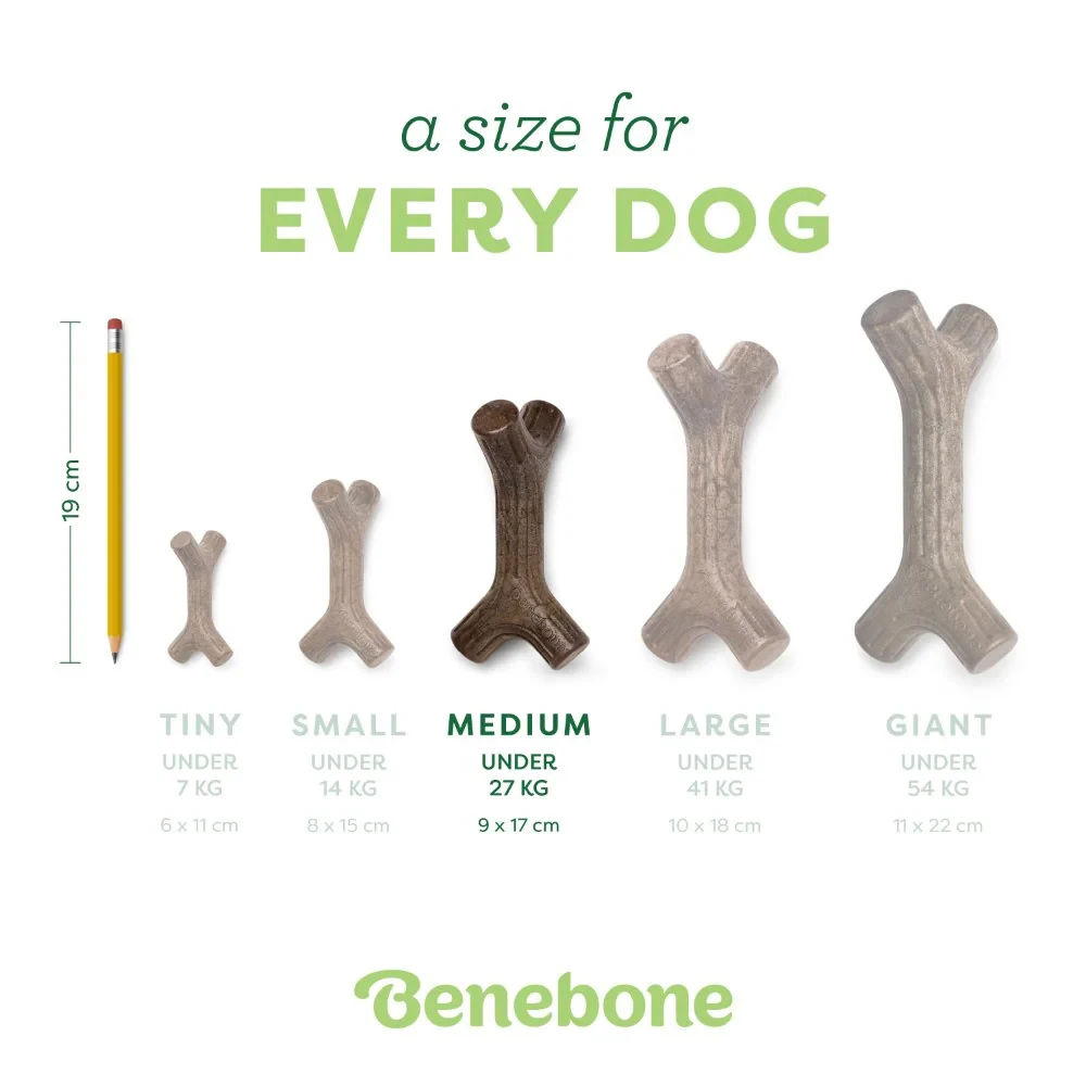 Benebone Stick