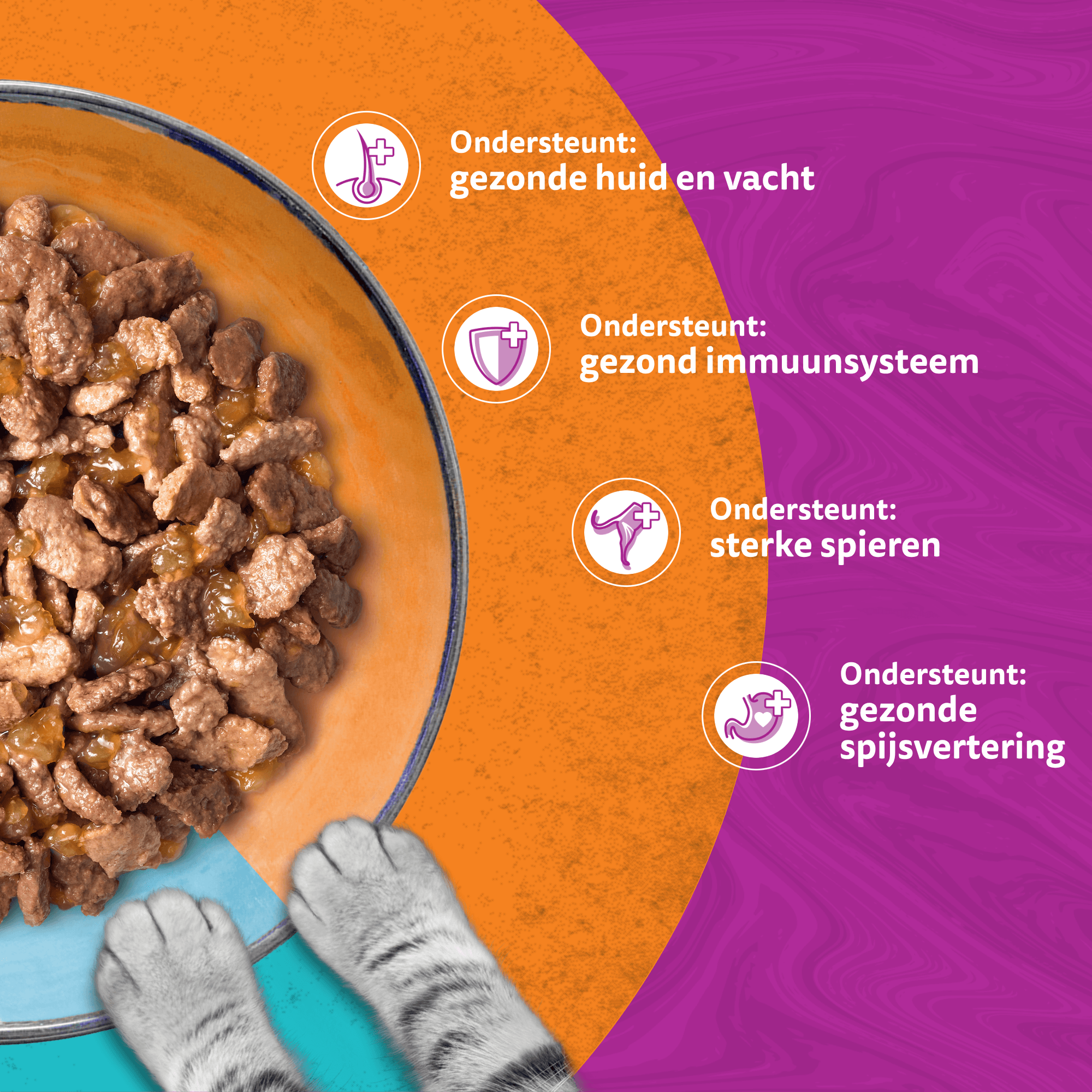 Whiskas 1+ Natvoer - Duo - Surf & Turf in Gelei