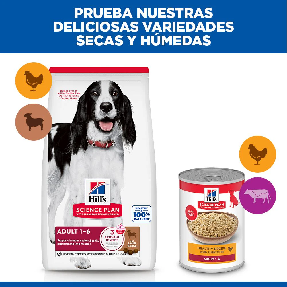 Hill's Science Plan Medium - Adult - Cordero y Arroz