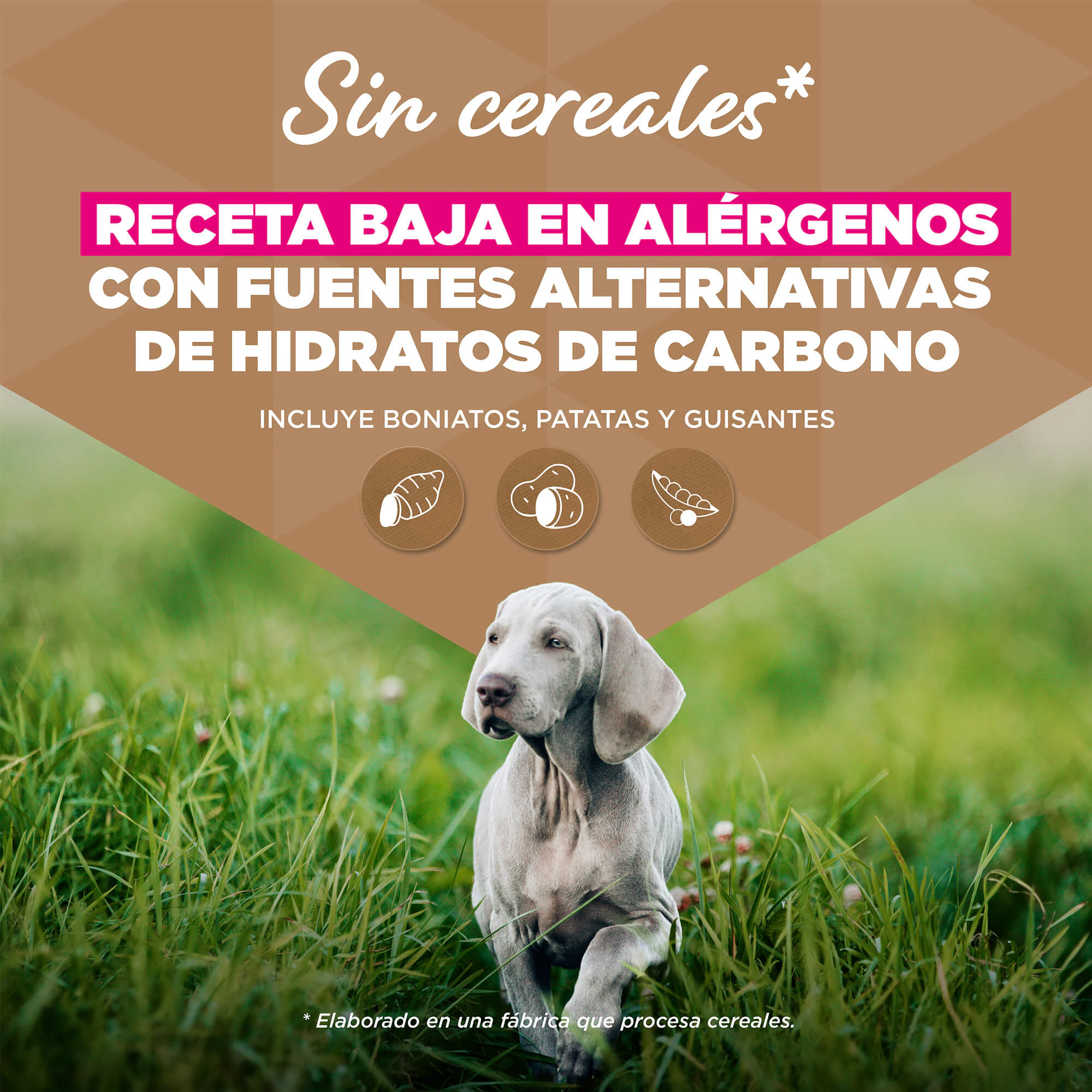Eukanuba Dog Junior Large Grainfree Comida para Perros