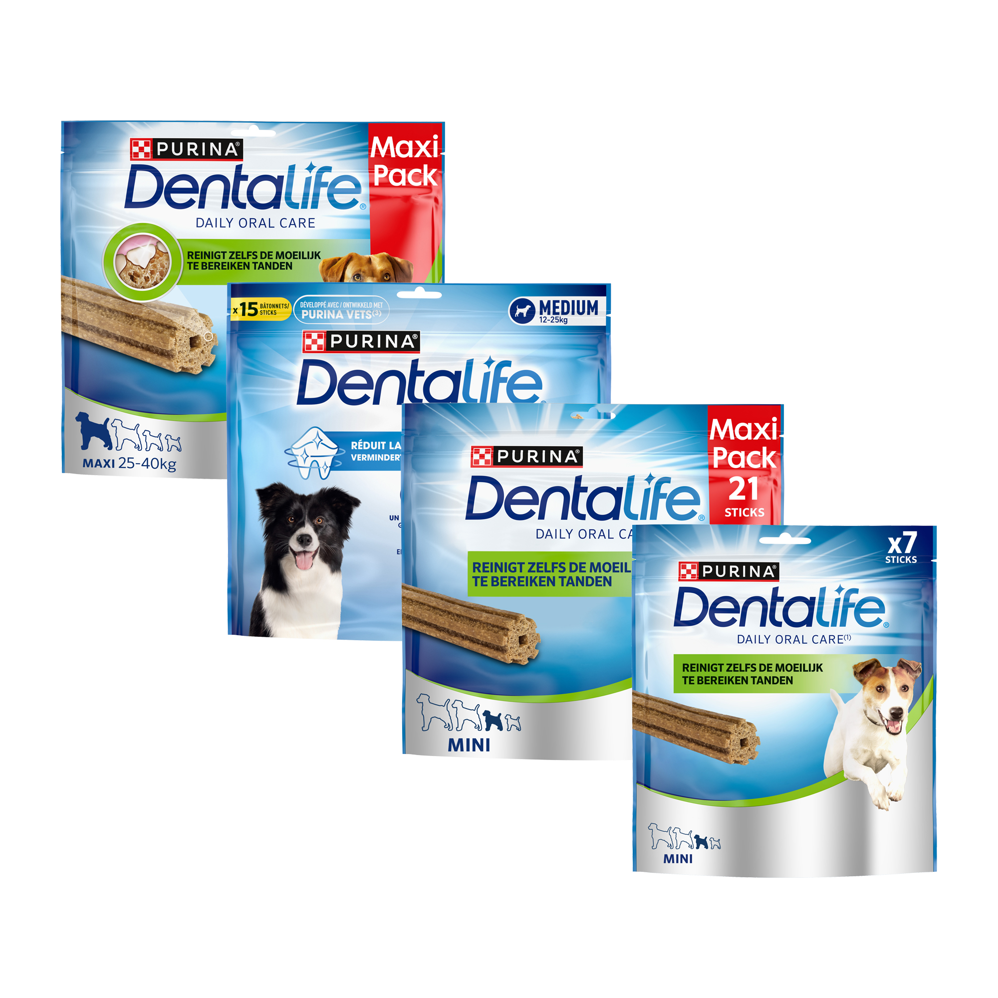 Purina DentaLife