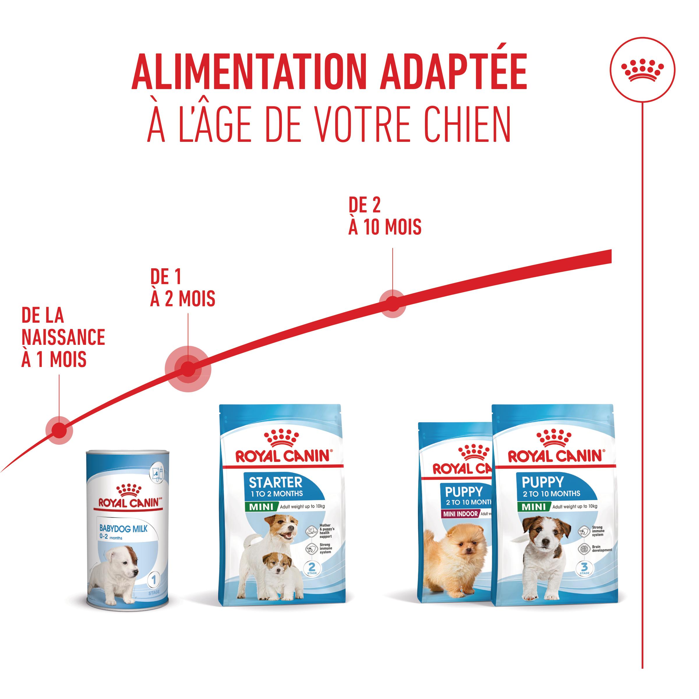 Royal Canin Mini Starter Mother & Babydog - Aliment pour Chien