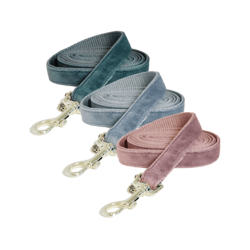 Kentucky Dogwear Hundeleine Velvet - 200 Cm - Smaragd