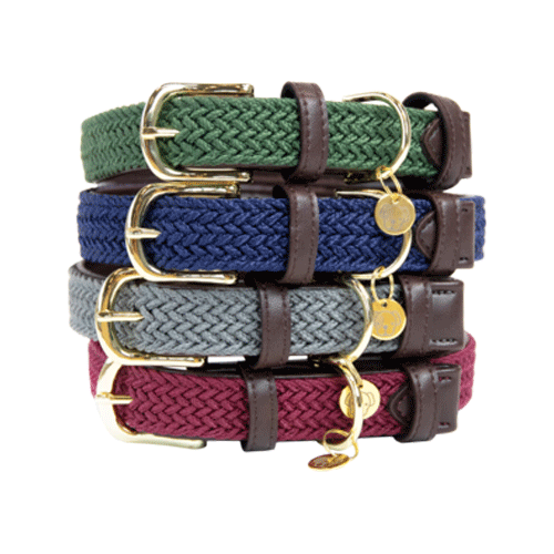 Kentucky Dogwear – Nylon – Geflochten – M – Olive Grün – 50 cm