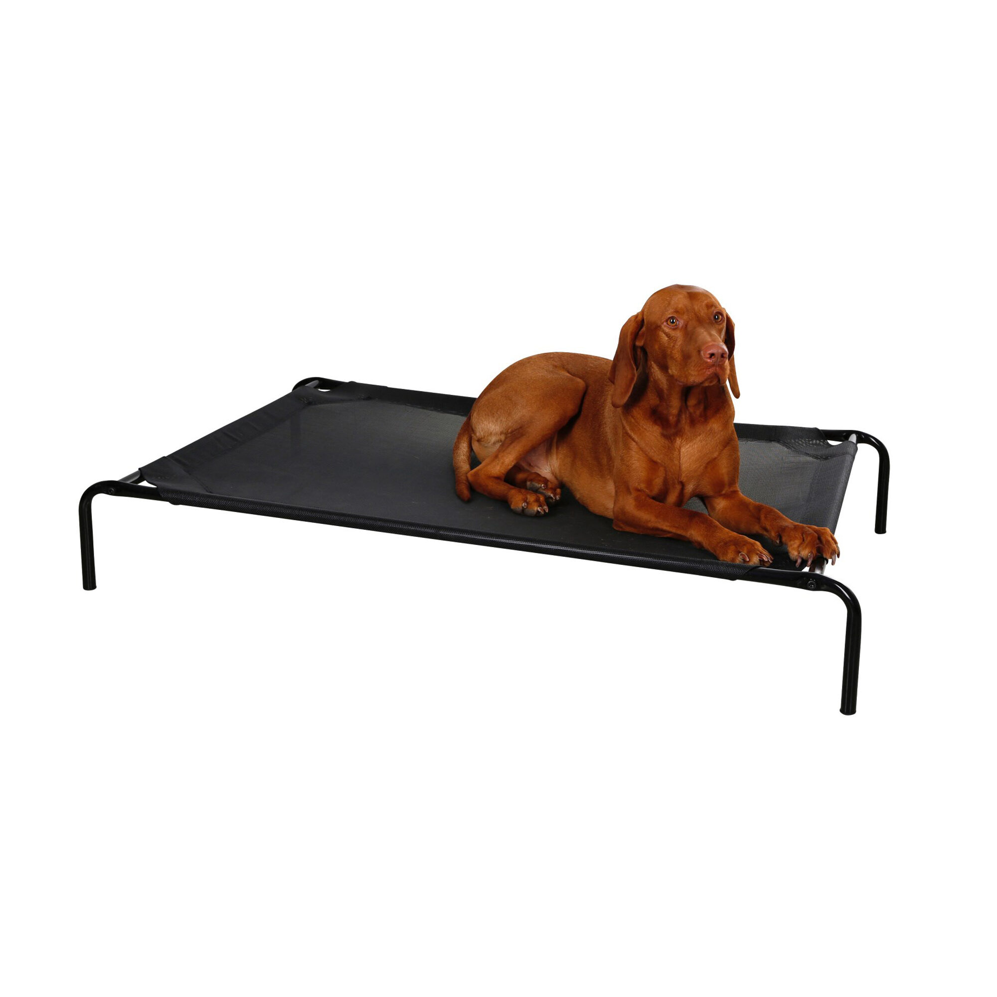 Kerbl Erhöhtes Hundebett