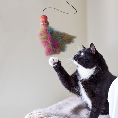 KONG Cat Wubba Boa Teaser Wand