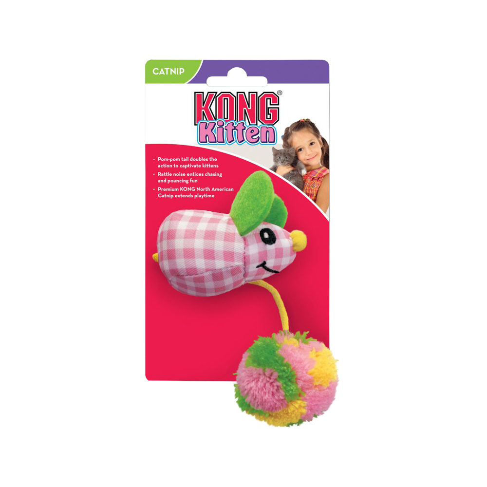 Kong kitten sales
