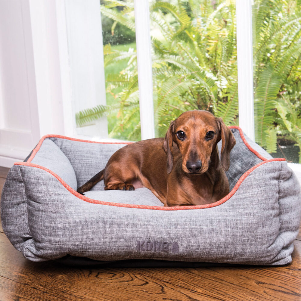 Kong lounger dog sale bed replacement cover