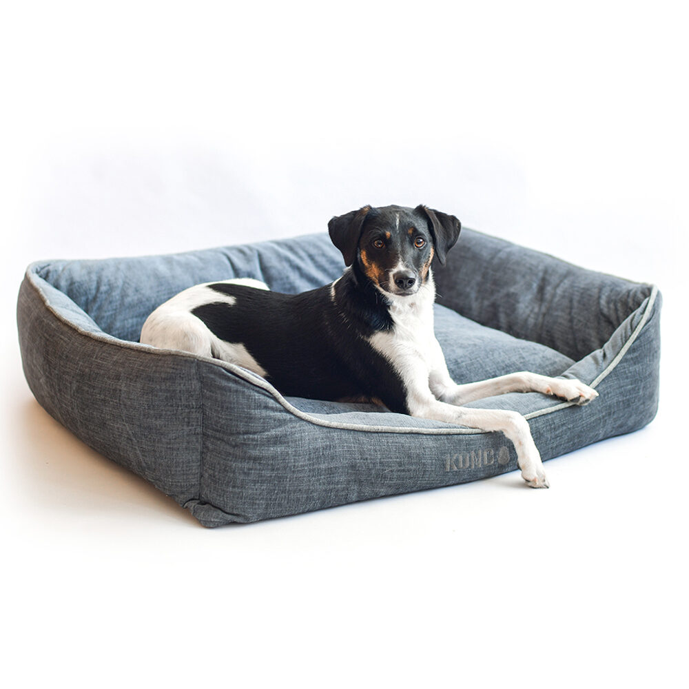 Kong best sale lounger bed