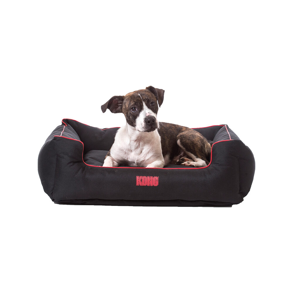 KONG Lounger Bed Dog Beds Order Vetsend