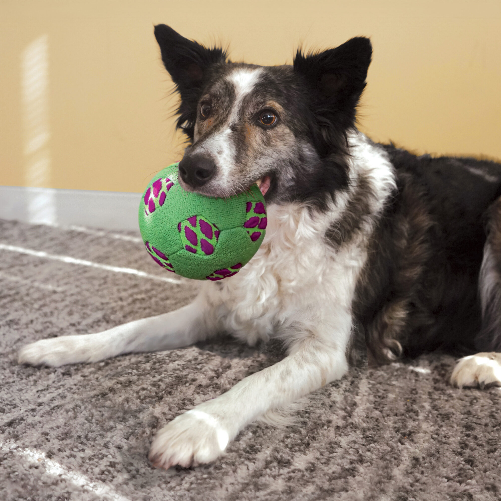 Kong outlet soccer ball