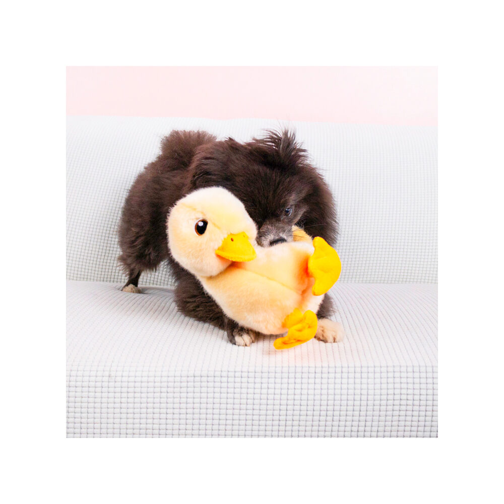 KONG Toughz Hondenknuffel