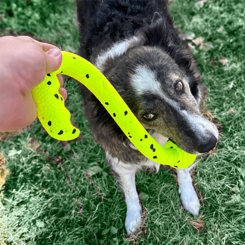 KONG Tug 'N Fetch
