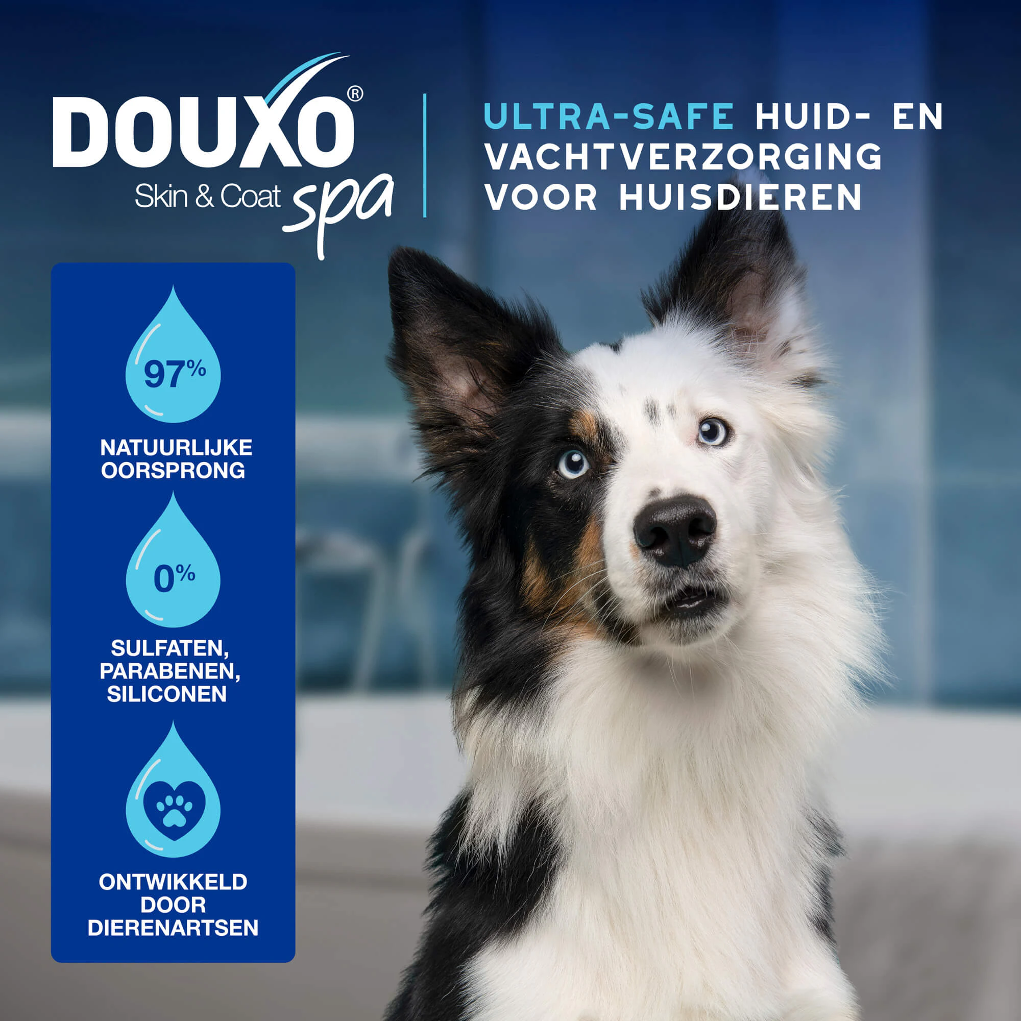 Douxo Spa Oorreiniger