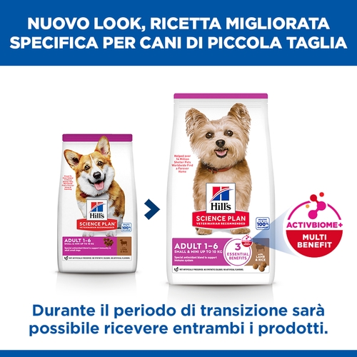 Hill's Science Plan Small & Mini - Adult - Agnello e Riso