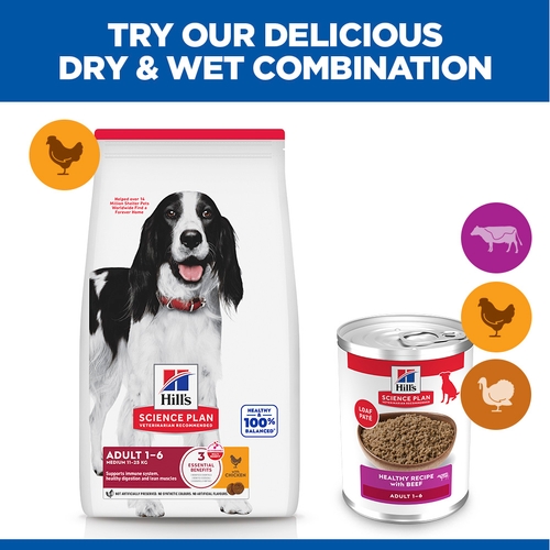 Hill's Science Plan Medium - Adult - Beef - Can