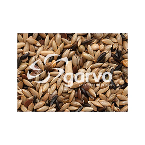 Garvo Canary Seed without Rapeseed