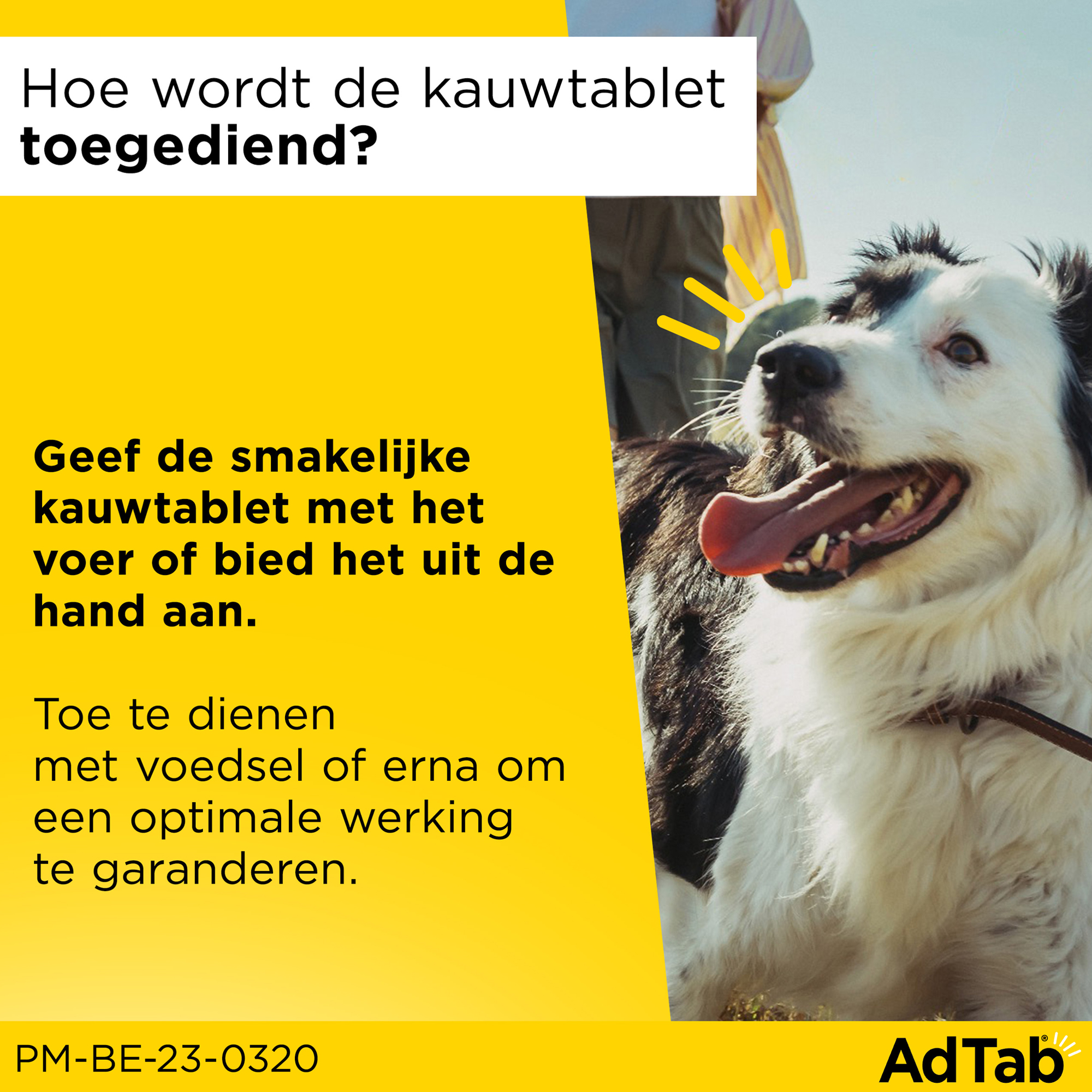 AdTab Kauwtabletten Hond