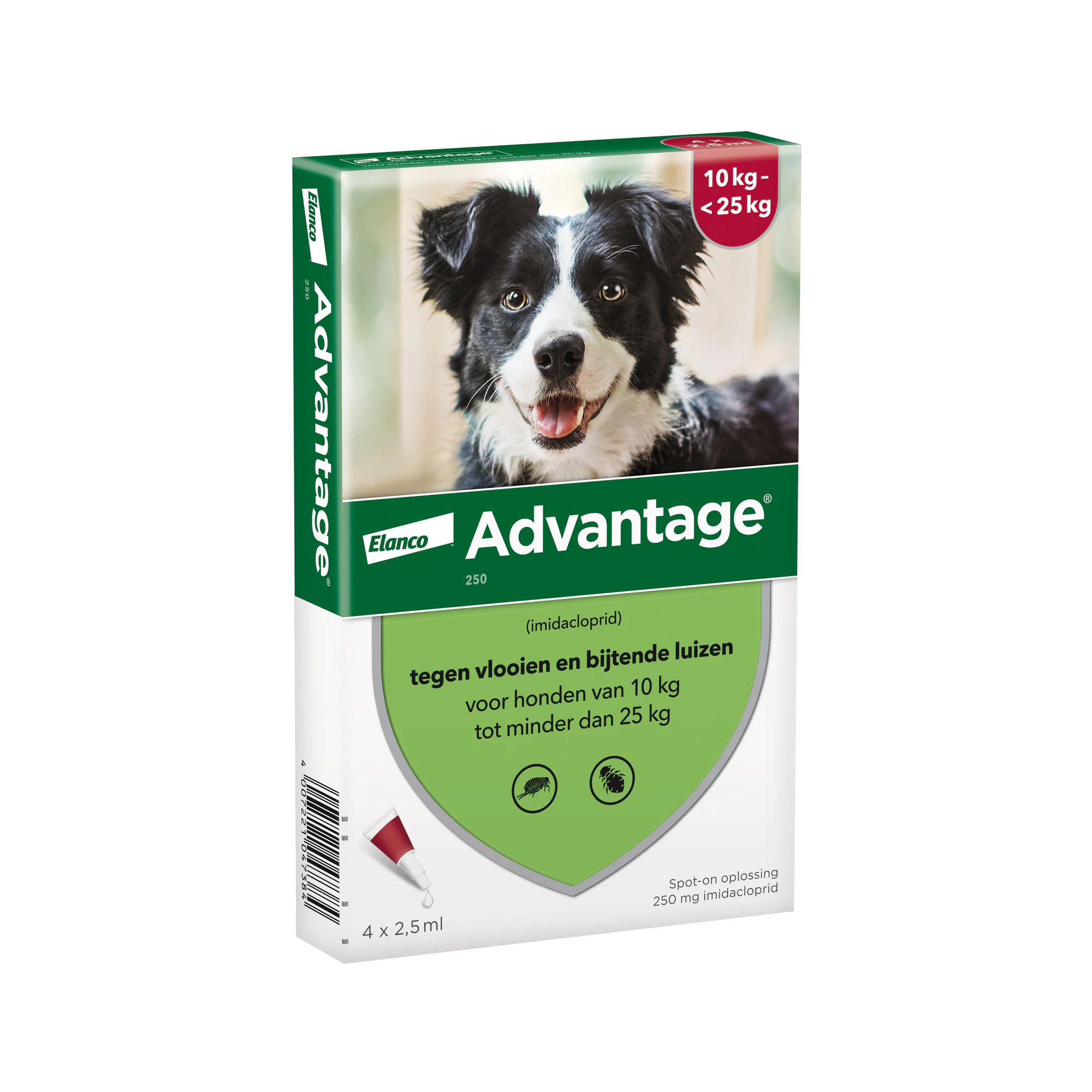 Advantage 250 - Chien (10 - 25 kg) - 4 x 2,5 ml