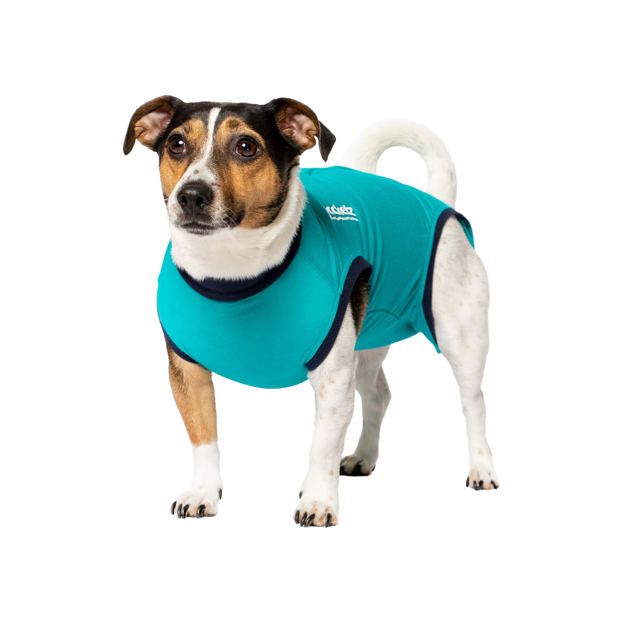 Jacketz Medical Bodysuit Dog