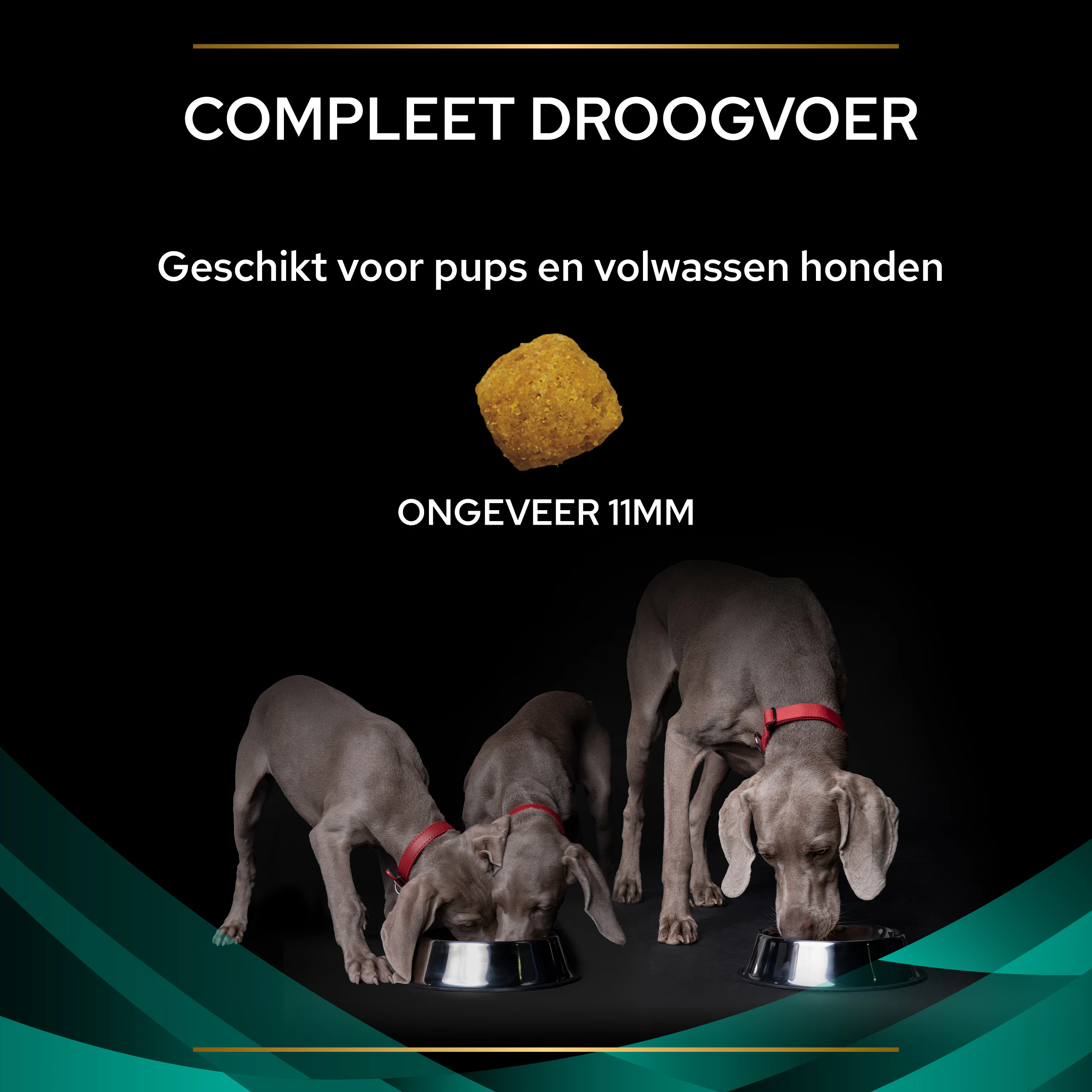 Purina Pro Plan Veterinary Diets EN Gastrointestinal - Hond