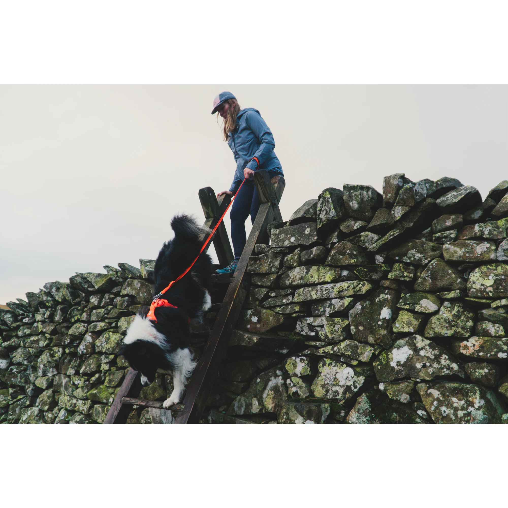 Ruffwear Front Range Guinzaglio per Cani