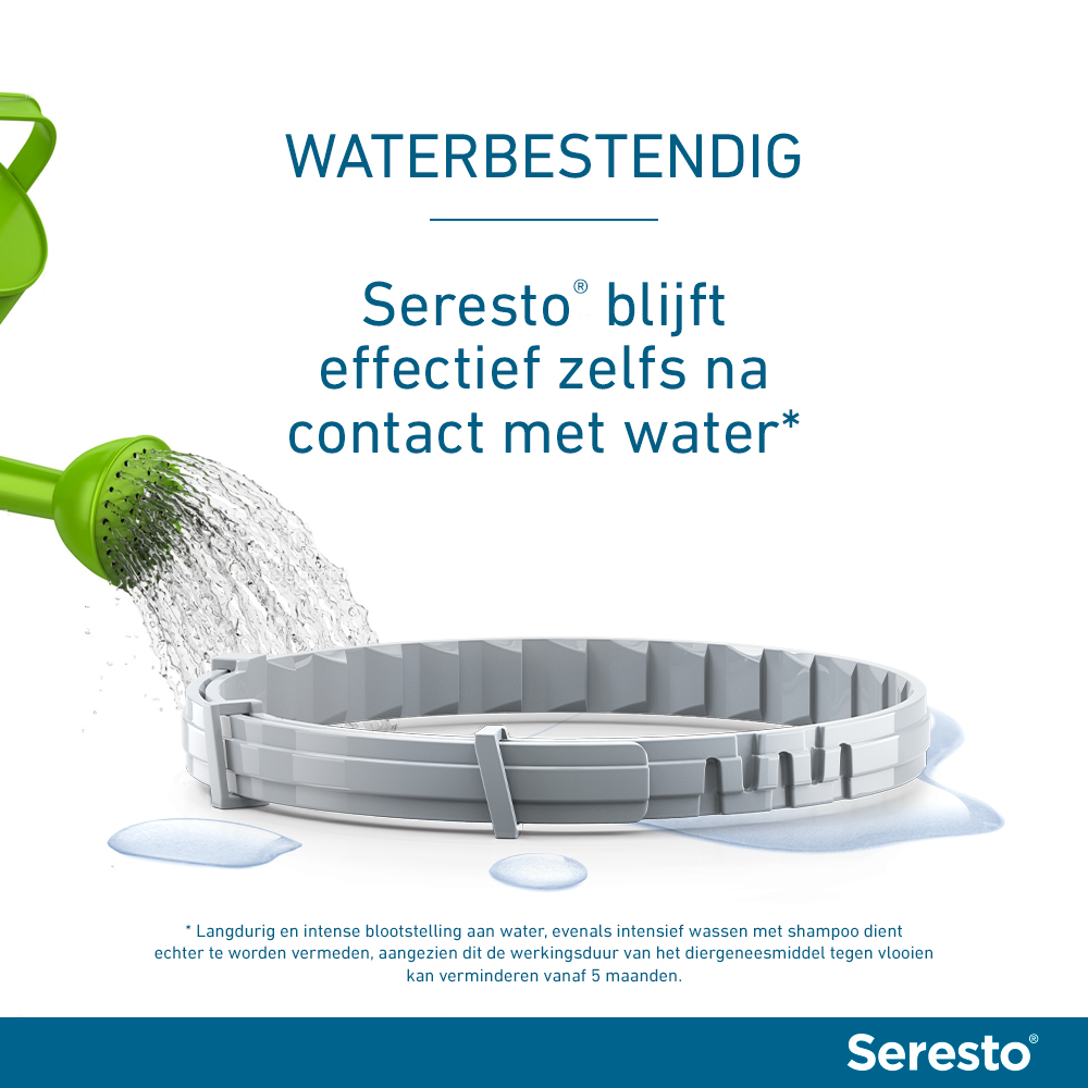 Seresto Hond