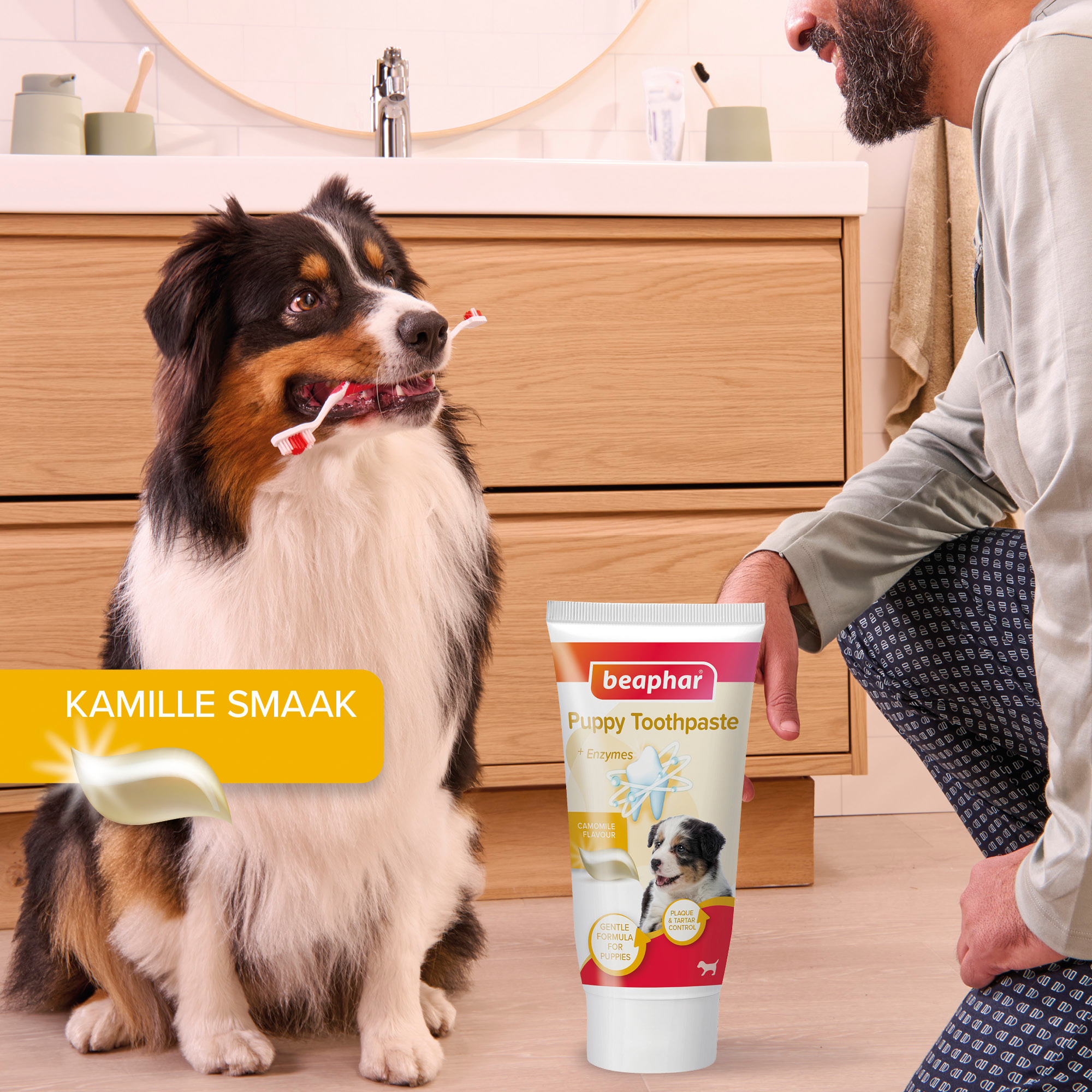 Beaphar Combi-pack Tandpasta & Tandenborstel