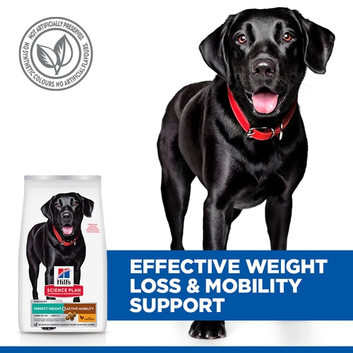 Hill's Science Plan - Perfect Weight & Active Mobility - Large