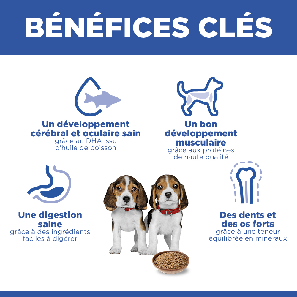 Hill's Science Plan - Medium - Puppy - Poulet - Boîte