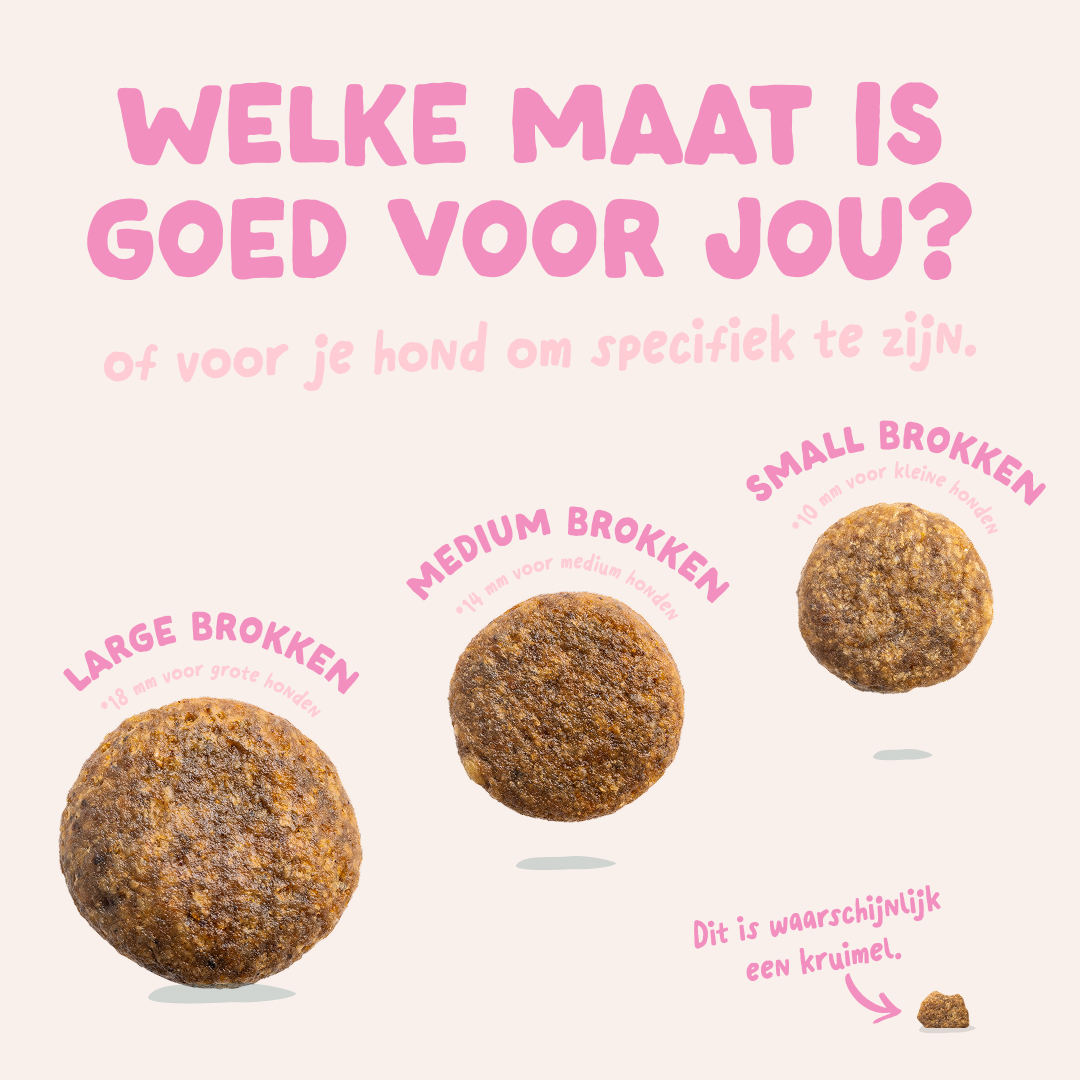 Edgard & Cooper Puppy - Eend & Kip