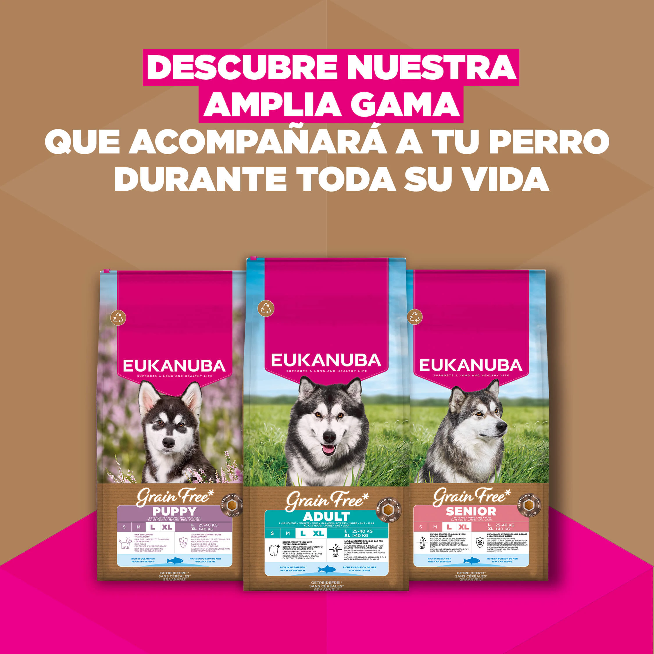Eukanuba Dog Junior Large Grainfree Comida para Perros