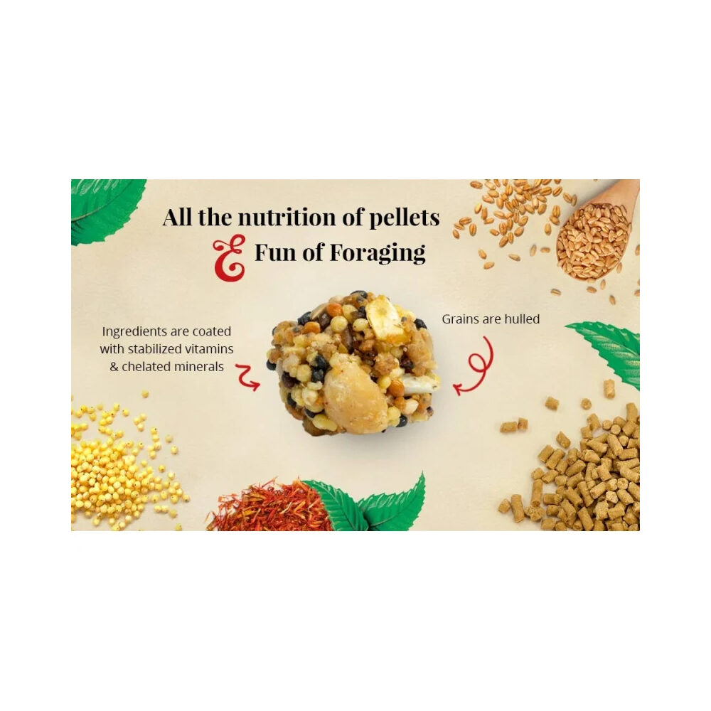 Lafeber Classic Nutri-Berries Cockatiel