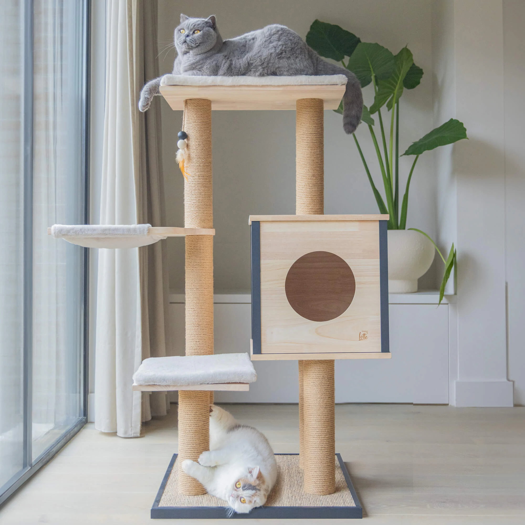 Designed by Lotte Scratching Furniture Nela