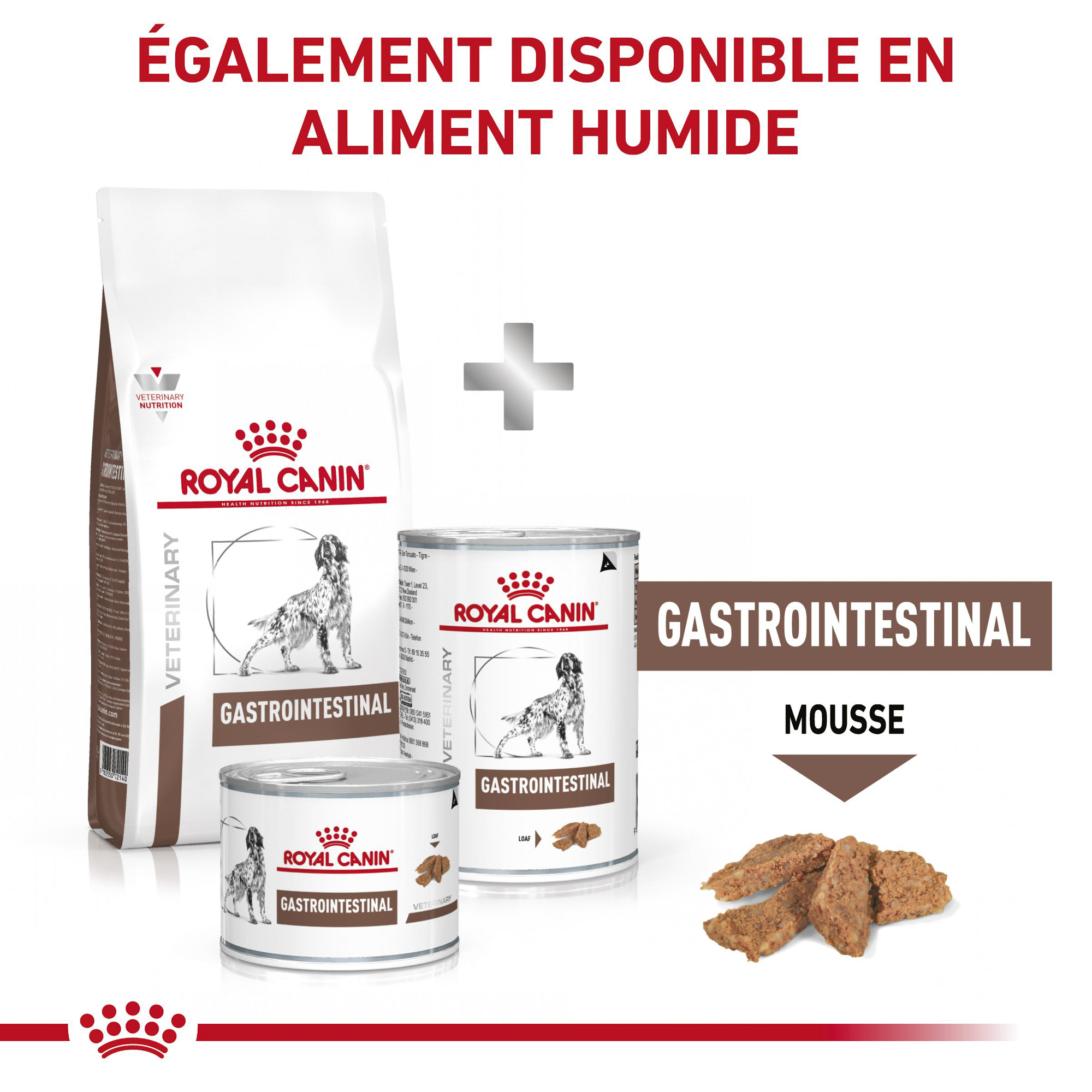 Royal Canin Gastrointestinal Chien