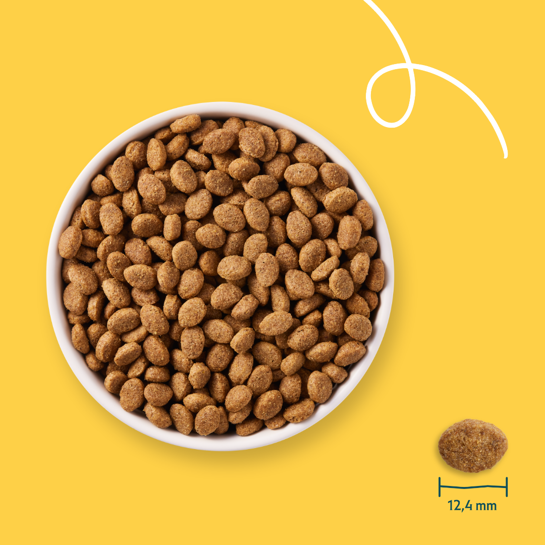 Yarrah - Dry Food for Senior Dogs Bio