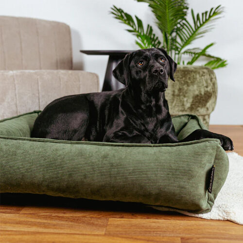 Lex & Max Chicago Orthopedische Hondenmand