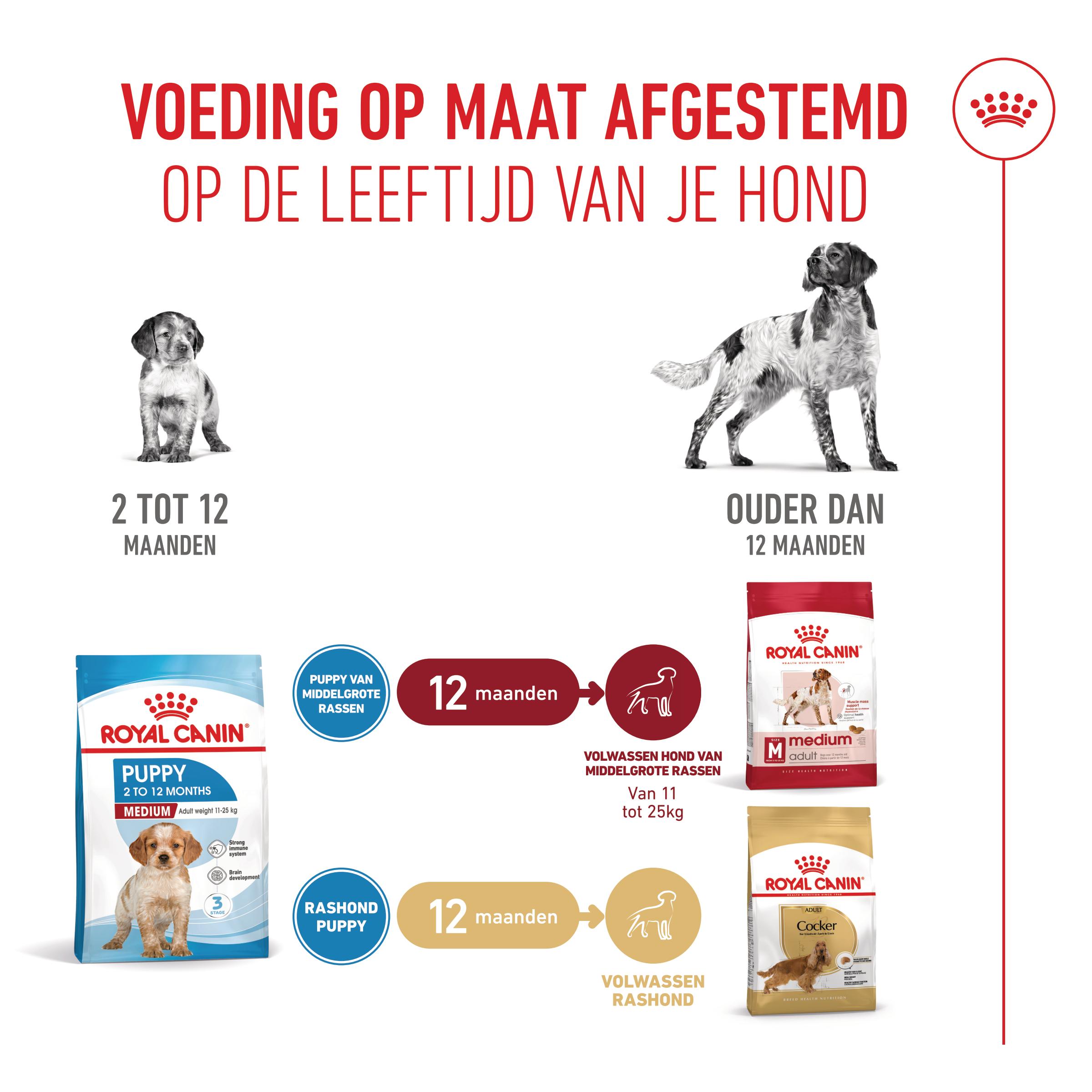 Royal Canin Medium Puppy - Hondenvoer