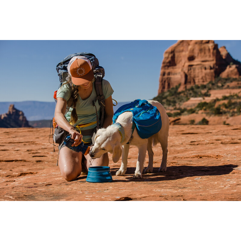 Ruffwear Approach Pack