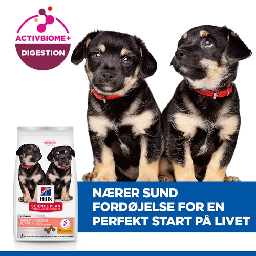 Hill's Science Plan Puppy Perfect Digestion Medium Hundefoder